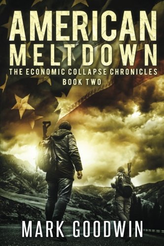 American Meltdown book cover