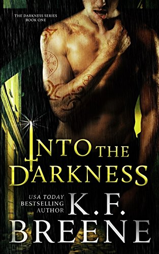 Into the Darkness book cover