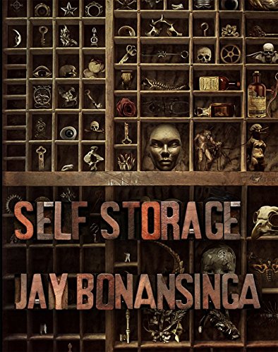 Self Storage book cover