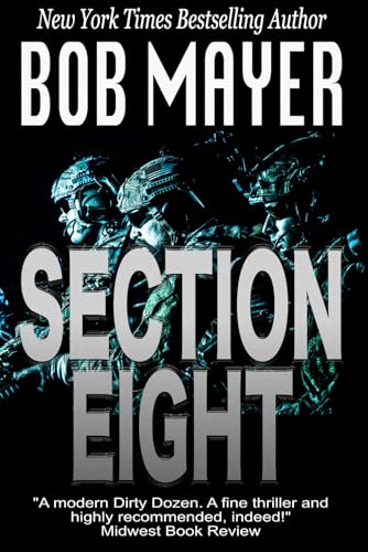Section Eight book cover