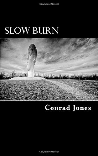 Criminal Revenge / Slow Burn cover