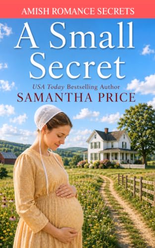 A Small Secret book cover