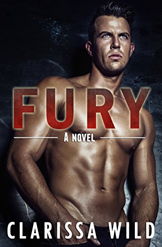Fury book cover