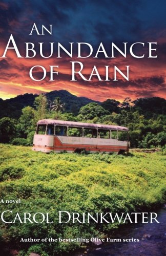 An Abundance of Rain book cover