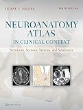 Neuroanatomy Atlas In Clinical Context Structures Sections Systems And Syndromes