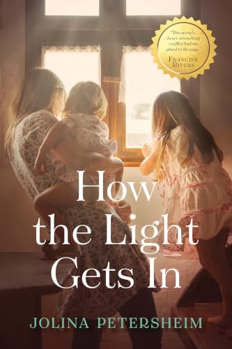How the Light Gets in book cover
