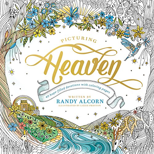 Picturing Heaven book cover