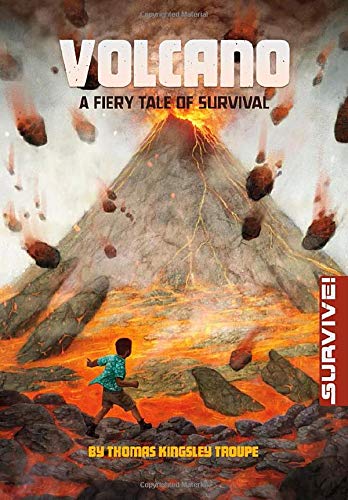 Cover of Volcano - A Fiery Tale of Survival