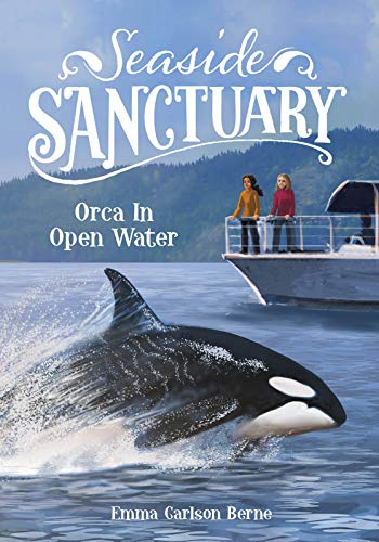 Cover of Orca in Open Water