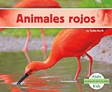 Amazon cover image