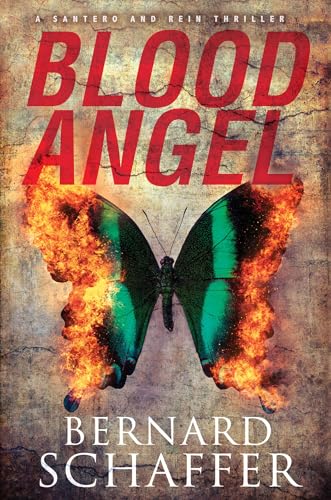 Blood Angel book cover