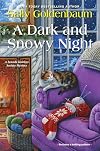 A Dark and Snowy Night