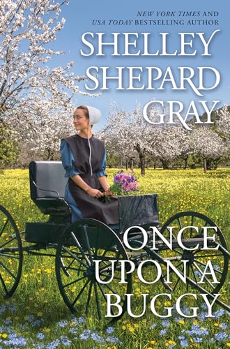 Once Upon a Buggy cover