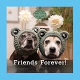 Sookie and Ivy Friends Forever! (Fox Chapel Publishing) Beautiful Gift Book Featuring Cute Photos of Dogs in Hats, with Uplifting and Funny Quotes About the Joy of Friendship