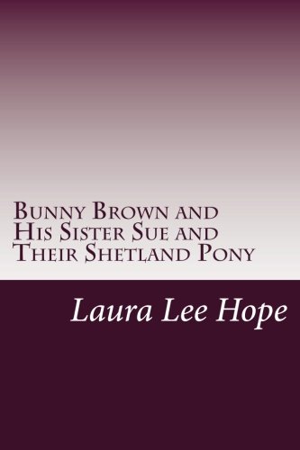 Bunny Brown and His Sister Sue and Their Shetland Pony book cover
