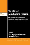 The Bible and Social Justice: Old Testament and New Testament Foundations for the Church's Urgent Call (McMaster New Testament Studies)