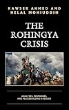 The Rohingya crisis