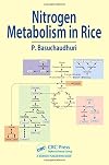 Nitrogen metabolism in rice