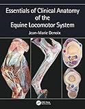 Essentials Of Clinical Anatomy Of The Equine Locomotor System