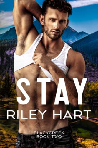 Stay book cover