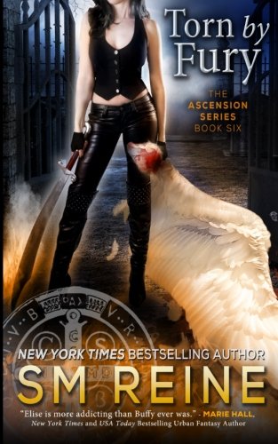 Torn by Fury book cover