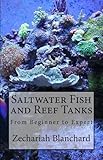 Saltwater Fish And Reef Tanks From Beginner To Expert