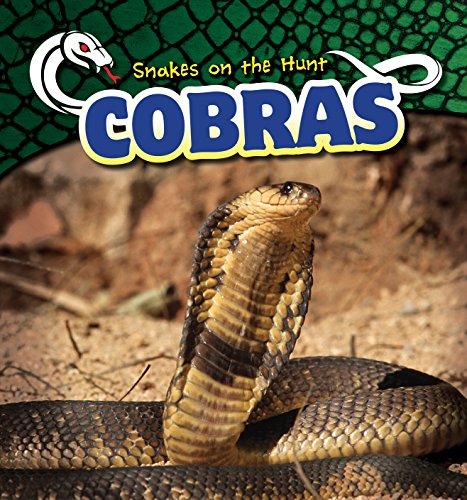 Cover of Cobras