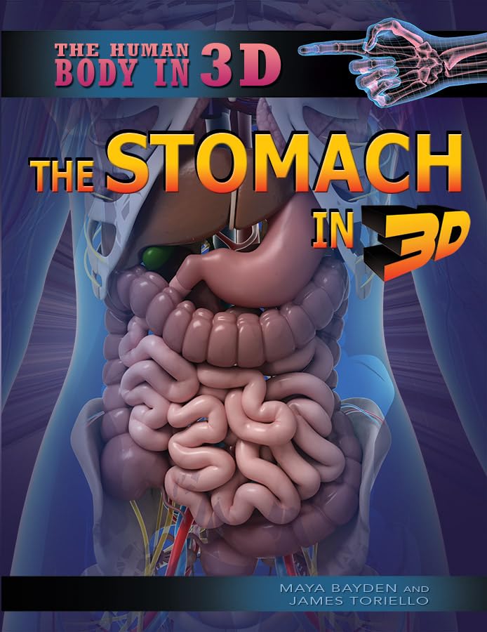 Cover of Stomach in 3D