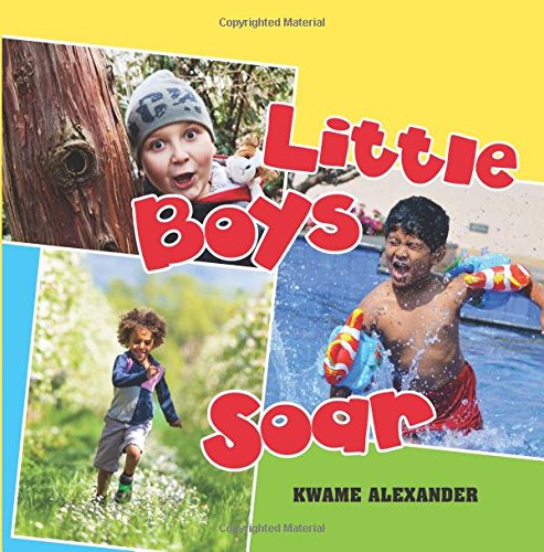 Little Boys Soar book cover