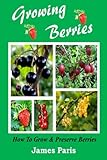Growing Berries How To Grow And Preserve Berries Strawberries Raspberries Blackberries Blueberries Gooseberries Redcurrants Blackcurrants Whitecurrants