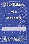 The Making of a Gangster
