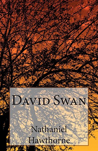 David Swan book cover