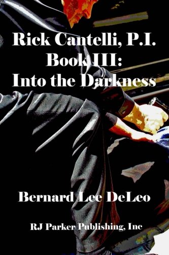 Into the Darkness book cover