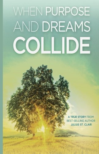 When Purpose and Dreams Collide book cover