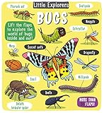 Little Explorers Bugs