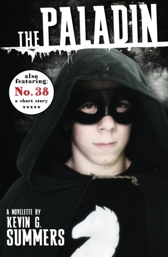The Paladin book cover