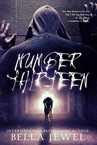 Number Thirteen book cover