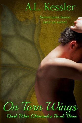 On Torn Wings book cover
