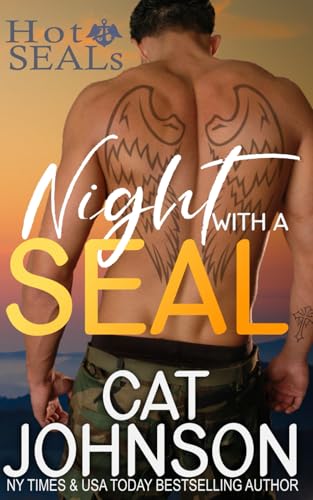 Night with a SEAL cover