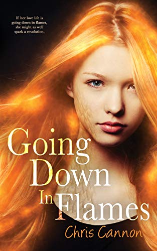 Going Down in Flames book cover