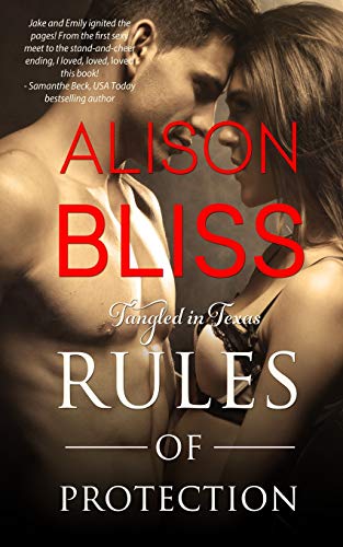 Rules of Protection book cover