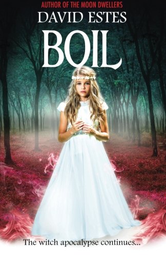 Boil book cover