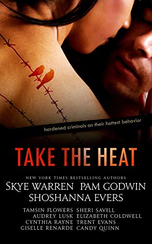 Take the Heat book cover