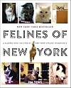 Felines of New York: A Glimpse Into the Lives of New York's Feline Inhabitants