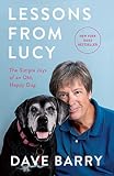 Lessons From Lucy The Simple Joys Of An Old Happy Dog