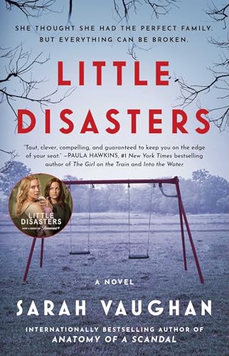 Little Disasters book cover