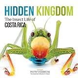 Hidden Kingdom The Insect Life Of Costa Rica Zona Tropical Publications