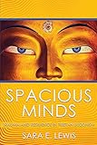 Spacious Minds Trauma And Resilience In Tibetan Buddhism