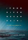 Pond River Ocean Rain: Find Peace in the Storms of Life