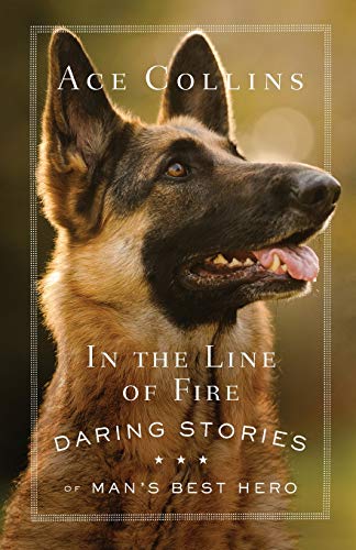 In the Line of Fire book cover
